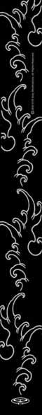 Tattoo Series